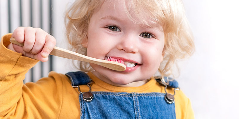 Tips to Establish Good Dental Hygiene Habits in Children