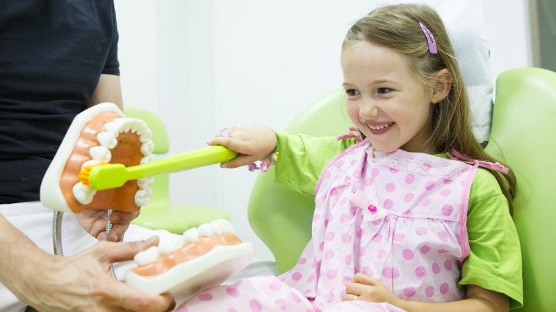 Holistic Dentistry in Tampa, Florida